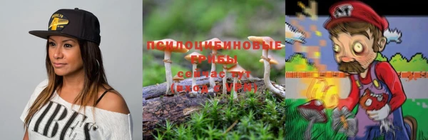 гидропоника Ростов