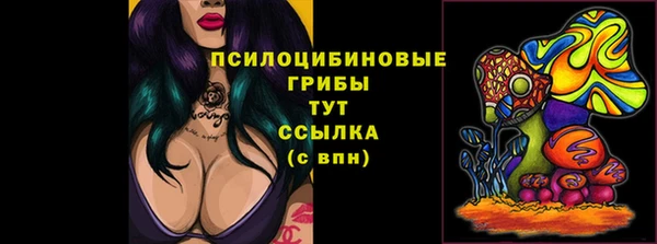 ПСИЛОЦИБИНОВЫЕ ГРИБЫ Балахна