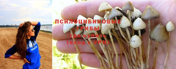тгк Арсеньев