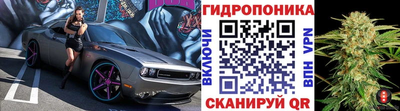 Конопля SATIVA & INDICA  купить наркоту  Морозовск 
